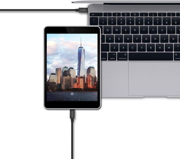 Spigen Essential USB-C to USB-A 3.1 Hızlı Şarj ve Data Kablo (1 Metre) C10C0